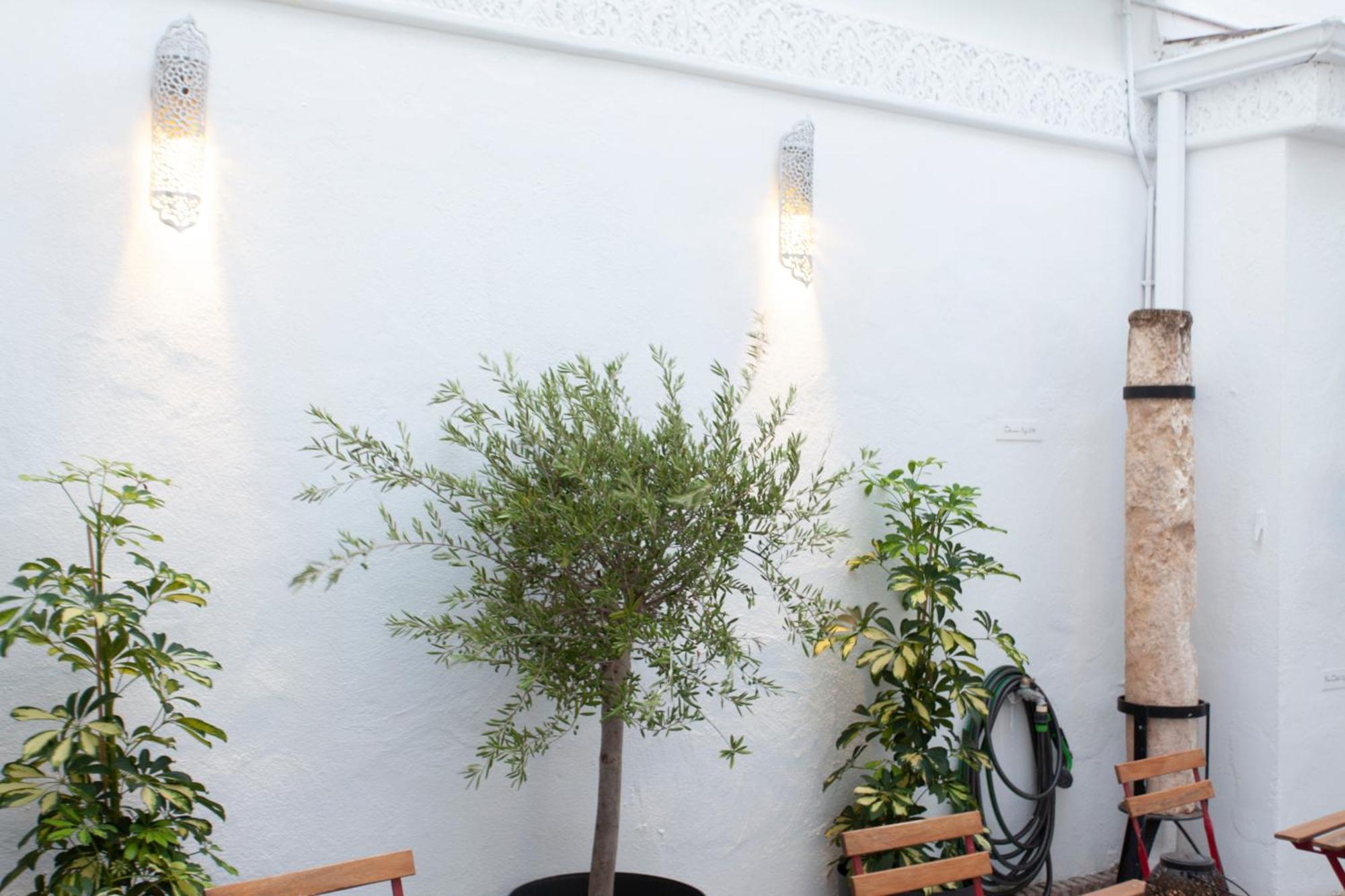 Altabib Riad Córdoba Exteriér fotografie